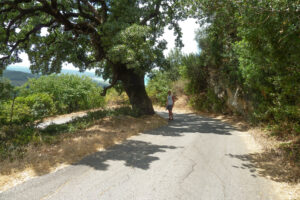 276-2011-06-11 Corfu