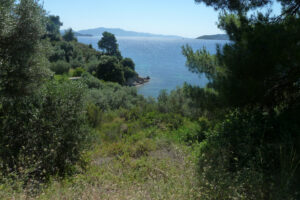 291-2012-06-14 Skiathos