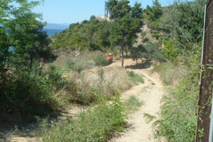 308-2012-06-14 Skiathos