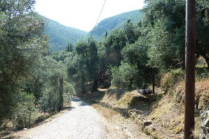 315-2011-06-17 Corfu