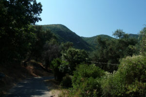 319-2011-06-17 Corfu