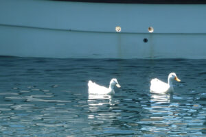 319-2012-06-14 Skiathos