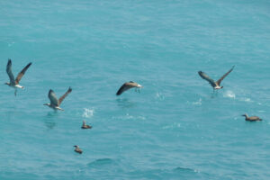 347-2012-06-15 Skiathos