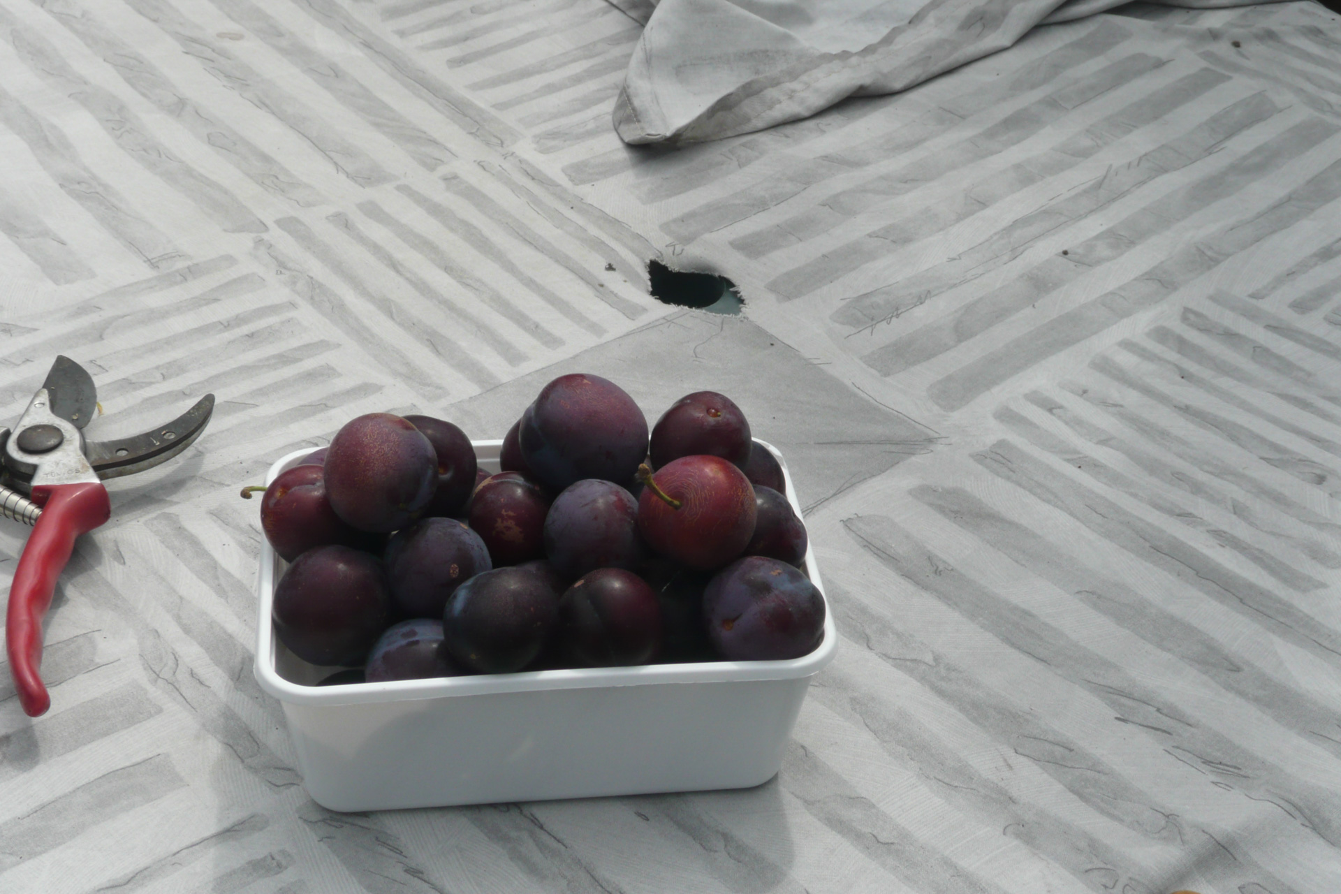 348-2011-08-04 Tuin