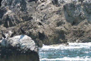 358-2012-06-15 Skiathos