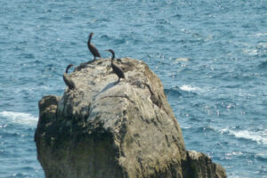 359-2012-06-15 Skiathos