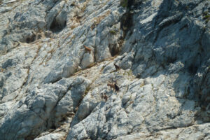 362-2012-06-15 Skiathos