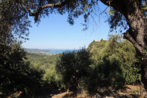 365-2013-09-22 Corfu