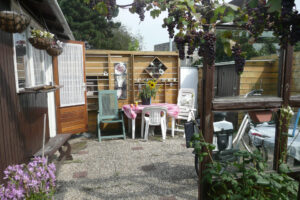 371-2011-09-02 Tuin