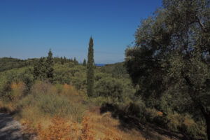 379-2013-09-22 Corfu