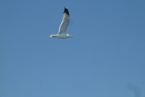 396-2012-06-15 Skiathos