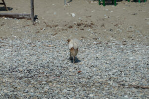 405-2012-06-15 Skiathos