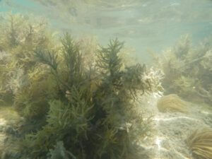 405-2013-09-24 Corfu