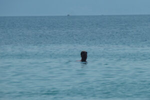408-2012-06-15 Skiathos