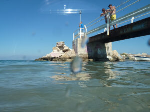 409-2013-09-24 Corfu