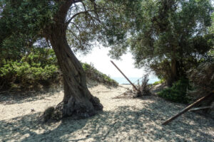 411-2012-06-15 Skiathos