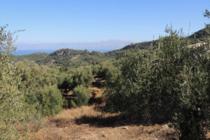 415-2013-09-25 Corfu