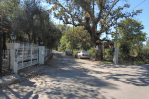 422-2013-09-25 Corfu