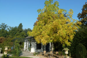 426-2011-09-28 Kasteeltuin Arcen