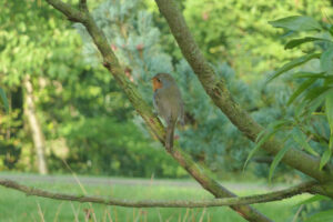 428-2011-09-28 Kasteeltuin Arcen