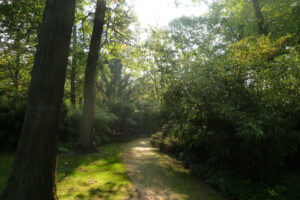 437-2011-09-28 Kasteeltuin Arcen