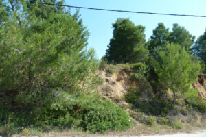 437-2012-06-16 Skiathos