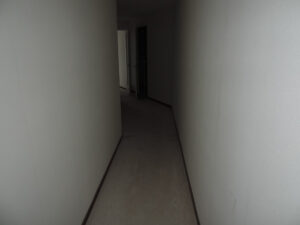 448-2013-11-26 Leyster