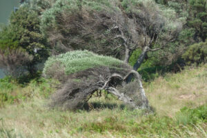 452-2012-06-16 Skiathos