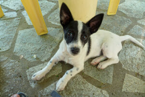 456-2012-06-16 Skiathos