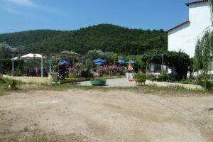 457-2012-06-16 Skiathos
