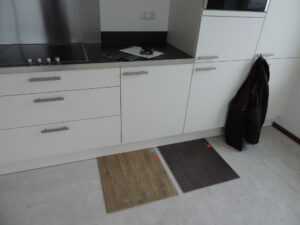 457-2013-11-30 Leyster