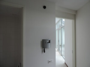 460-2013-11-30 Leyster