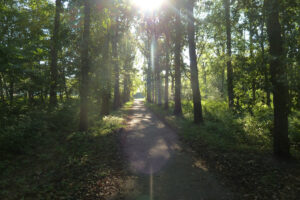 461-2011-10-16 Wandelen Overvoorde