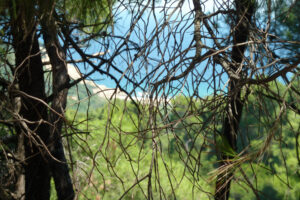 461-2012-06-16 Skiathos