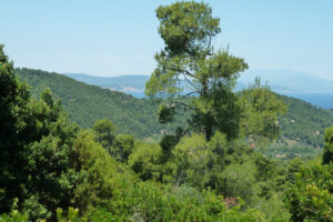 463-2012-06-16 Skiathos