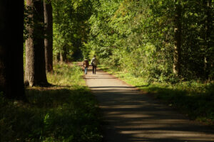 464-2011-10-16 Wandelen Overvoorde