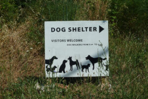 464-2012-06-16 Skiathos