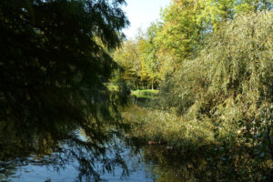 465-2011-10-16 Wandelen Overvoorde