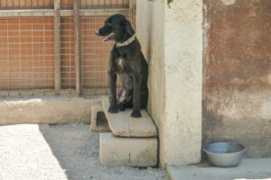 465-2012-06-16 Skiathos