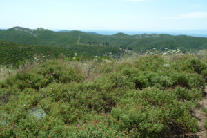 466-2012-06-16 Skiathos