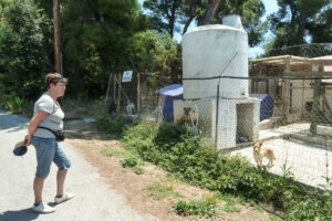 469-2012-06-16 Skiathos