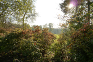 474-2011-10-23 Wandelen Japanse tuin Clingendeal
