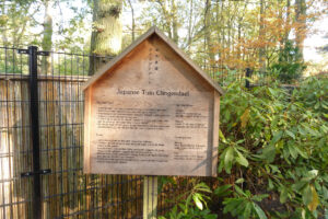 476-2011-10-23 Wandelen Japanse tuin Clingendeal