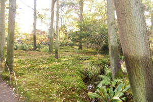 477-2011-10-23 Wandelen Japanse tuin Clingendeal