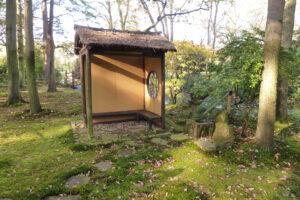 478-2011-10-23 Wandelen Japanse tuin Clingendeal
