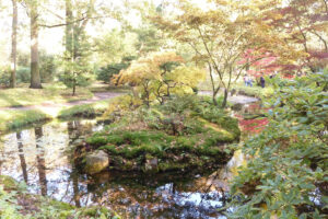 480-2011-10-23 Wandelen Japanse tuin Clingendeal
