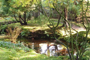 484-2011-10-23 Wandelen Japanse tuin Clingendeal