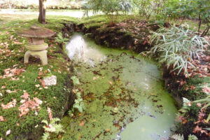487-2011-10-23 Wandelen Japanse tuin Clingendeal