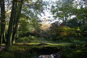 488-2011-10-23 Wandelen Japanse tuin Clingendeal