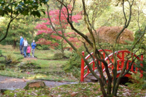 491-2011-10-23 Wandelen Japanse tuin Clingendeal